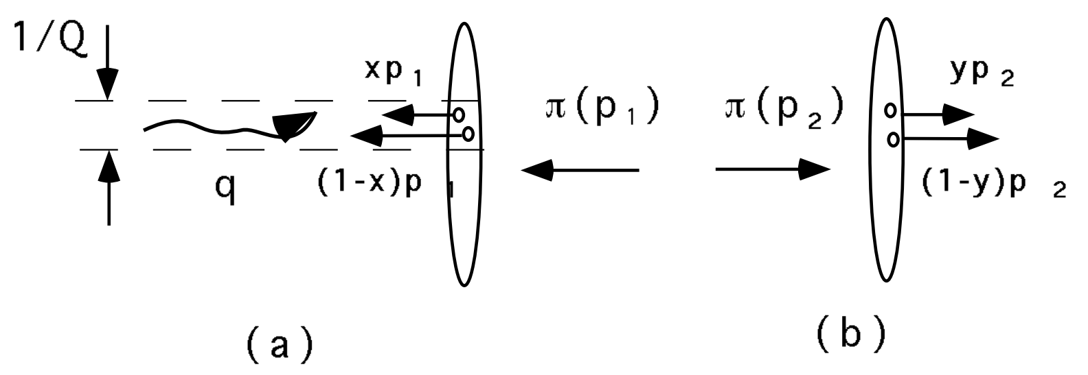 The valence quark state of a pion interacting with an external current carrying momentum $\mathcal{Q}$. The valence couple must be localized in $1/\mathcal{Q}$ in the transverse direction while in the longitudinal one Lorentz contraction assures the partons to be close. The picture is taken from \cite{Sterman:1997sx}.