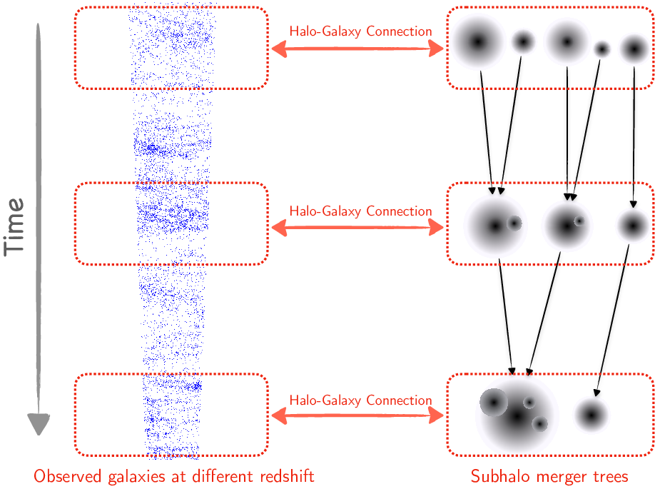 Demonstration of the method that connects galaxies across cosmic time. On the left hand, blue points are the observed galaxies from high redshift (top) to low redshift (bottom). On the right hand, black shades are halos and subhalos on subhalo merger trees from N-body simulations. We first connect galaxies with halos using established halo-galaxy connections, then use links in subhalo merger trees to connect galaxies across cosmic time.