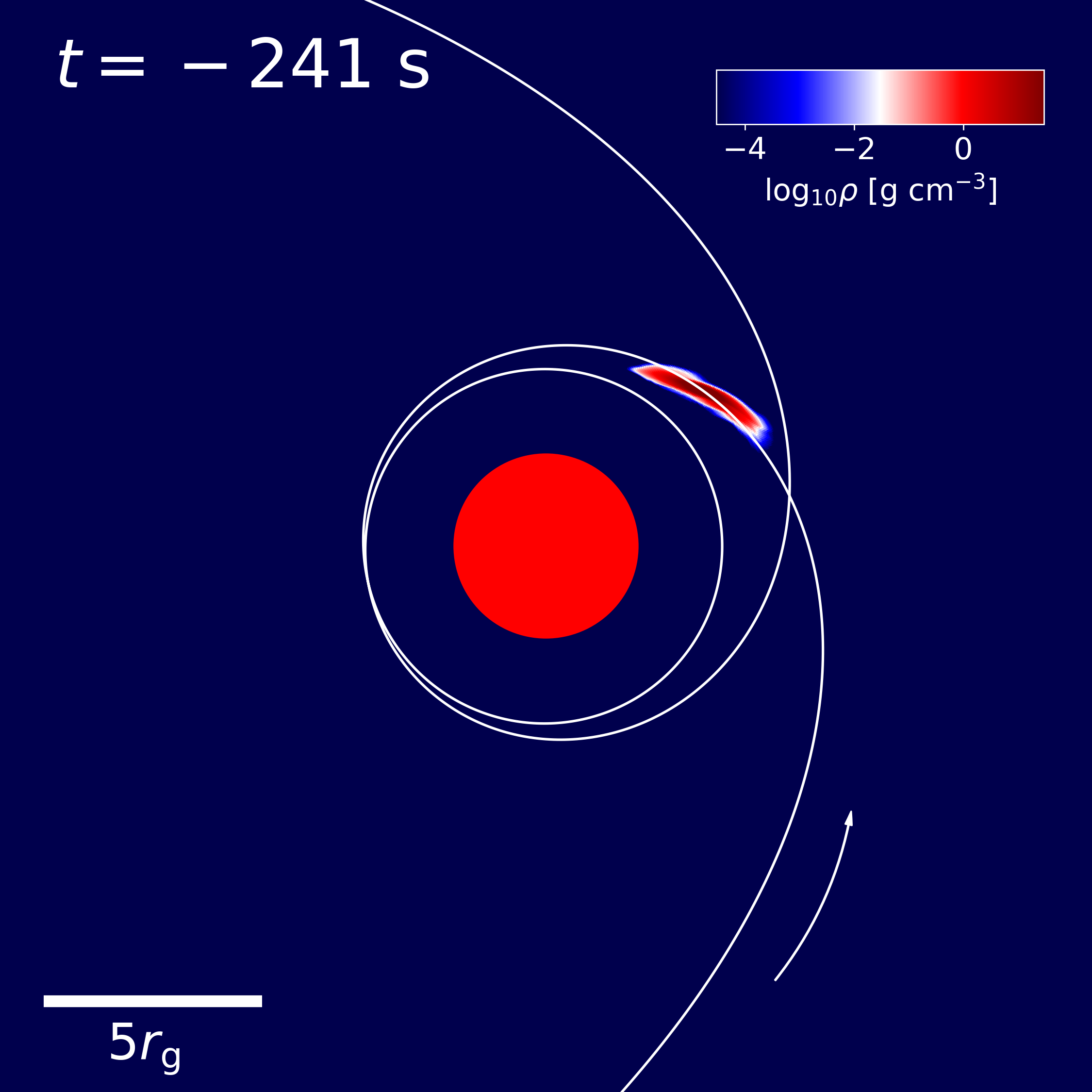 The solid white curve depicts the geodesic of an orbit with $r_{\rm p} \simeq 4.03 r_{\rm g}$ around a black hole (red disk at the center); the arrow indicates the direction of the orbit. Colorscale shows the density distribution of stellar debris 241~s before a star whose center of mass follows this geodesic passes through pericenter.