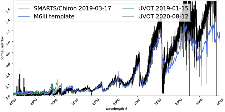 The SMARTS optical spectrum of RT~Cru obtained on 2019-03-17 (black line) and the UVOT spectra obtained on 2019-01-15 (green line) and 2020-08-12 (gray line), corrected for the interstellar extinction using E(B-V)=0.53. The blue line is a template spectrum of a M6III giant from \citet{2015RAA....15.1154Z}.